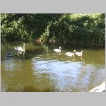 IMG_1746.JPG