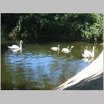 IMG_1747.JPG