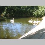 IMG_1748.JPG